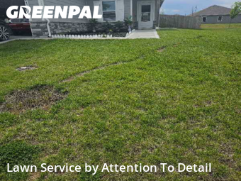 Lawn Care nearby Blue Springs, MO, 