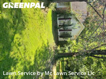 Grass Cutting nearby Madison, MS, 