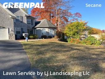 Lawn Services in Upper Darby, 19018, Yard Work by Lj Landscaping Llc, work completed in Oct , 2025