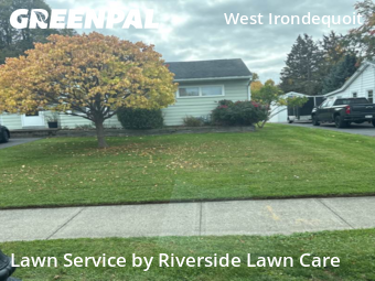Grass Cutting nearby Irondequoit, NY, 