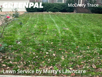 Lawn Cut nearby Nashville, TN, 