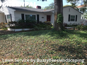 Lawn Cut nearby St. Petersburg, FL, 