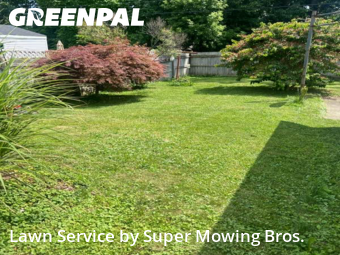 Lawn Mowing Service nearby Lansing, MI, 