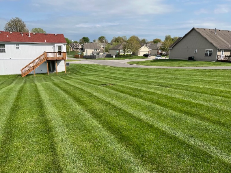 Thirkield Lawn Lawn Care Services in Higginsville, MO