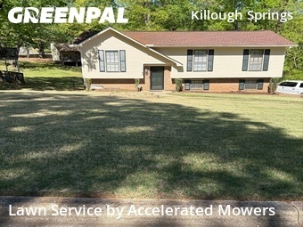 Lawn mowed in Birmingham, 35215