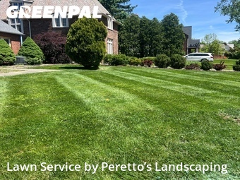 Lawn Cut nearby Shaker Heights, OH, 