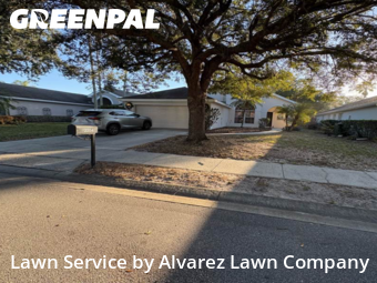 Lawn Mowingin Ocoee,34761,Lawn Cut by Alvarez Lawn Company, work completed in Feb , 2026