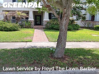 Grass Cut nearby Orlando, FL, 