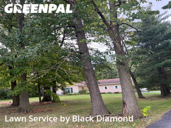 Lawn Service nearby Fort Wayne, IN, 