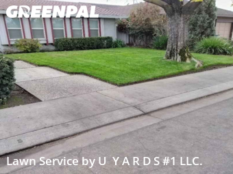 Local Lawn And Landscape Maintenance Services Near Me In Modesto,95358,Landscaping Cleanup by U  Y A R D S #1 LLC., work completed in Feb , 2026