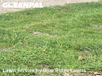 Lawn Care Service nearby Mc Kinney, TX, 
