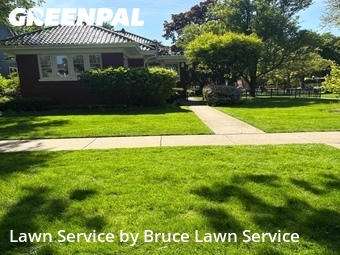 Lawn Mowingin Oak Park,60302,Lawn Service by Bruce Lawn Service, work completed in Jul , 2026