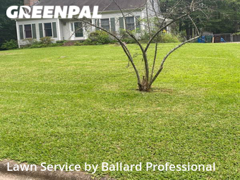 Grass Cutting nearby Durham, NC, 
