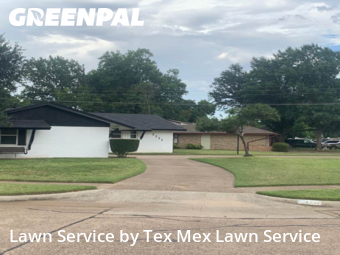 Grass Cut nearby Irving, TX, 