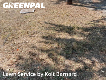 Lawn Care nearby Hutto, TX, 