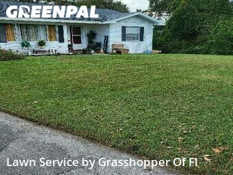 Grass Cutting nearby Lakeland, FL, 