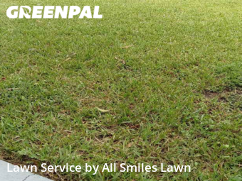 Lawn Cut nearby Dania Beach, FL, 