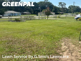 Grass Cut nearby Ocala, FL, 