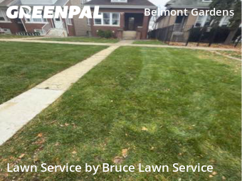 Yard Cutting nearby Chicago, IL, 