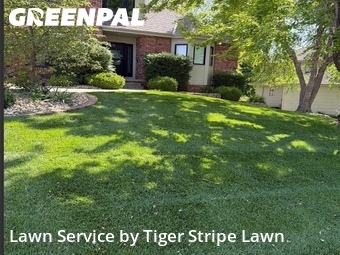 Lawn Cutting nearby Papillion, NE, 