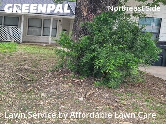 Yard Cutting nearby San Antonio, TX, 