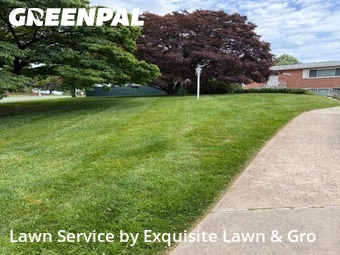 Lawn Mowing Service nearby Silver Spring, DC, 