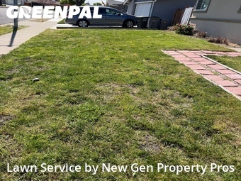 Lawn mowed in Dublin, 94568