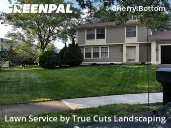 Affordable Landscaping In Columbus,43230,Landscaping Renovation by True Cuts Landscaping, work completed in Jul , 2026