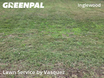 Lawn Mow nearby Nashville, TN, 