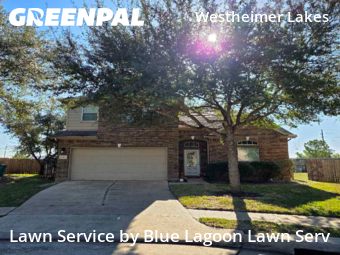 Lawn Carein Katy,77494,Lawn Care by Blue Lagoon Lawn Serv, work completed in Dec , 2025