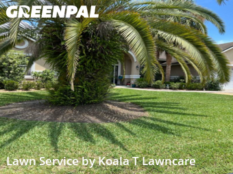 Lawn Cut nearby Jacksonville, FL, 