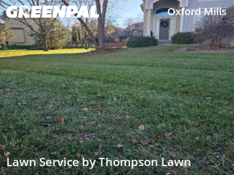 Yard Work in Overland Park, 66221, Yard Care Services by Thompson Lawn, work completed in Dec , 2025