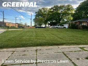 Lawn Mowing Service nearby Highland Heights, OH, 