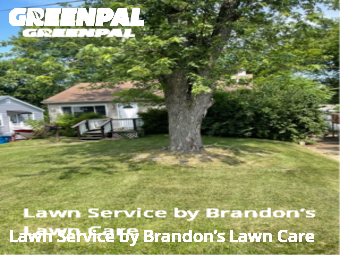 Lawn Care Service nearby St. Louis, MO, 