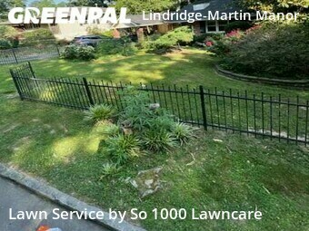 Grass Cutting nearby Atlanta, GA, 