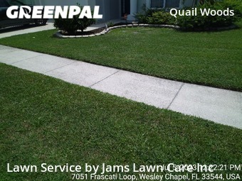 Lawn Cutting nearby Wesley Chapel, FL, 