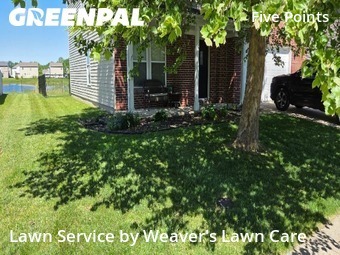 Yard Mowing nearby Indianapolis, IN, 