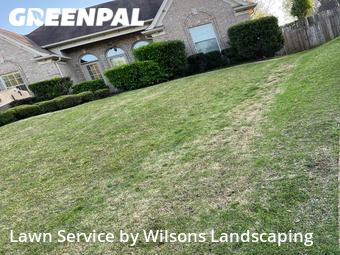 Grass Cut nearby Memphis, TN, 