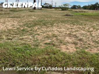 Lawn Care nearby Lubbock, TX, 