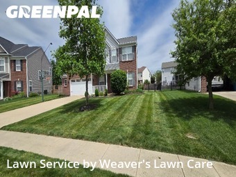 Lawn Maintenance nearby New Palestine, IN, 