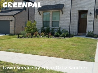 Lawn Cut nearby Mc Kinney, TX, 