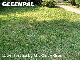 Lawn Cut nearby Owings Mills, MD, 