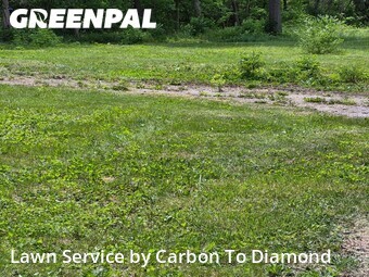 Lawn Mow nearby Arlington Heights, IL, 