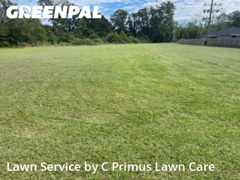 Yard Cutting nearby Livingston, LA, 