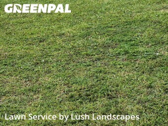 Grass Cutting nearby Fort Myers, FL, 