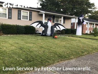 Lawn Mow nearby Evansville, IN, 