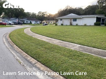 Grass Cut nearby Palm Harbor, FL, 