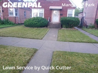 Grass Cut nearby Chicago, IL, 