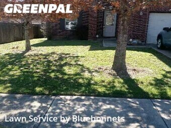 Lawn Cut nearby Round Rock, TX, 