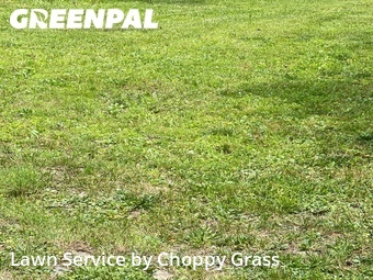 Lawn Service nearby Hillsdale, NJ, 